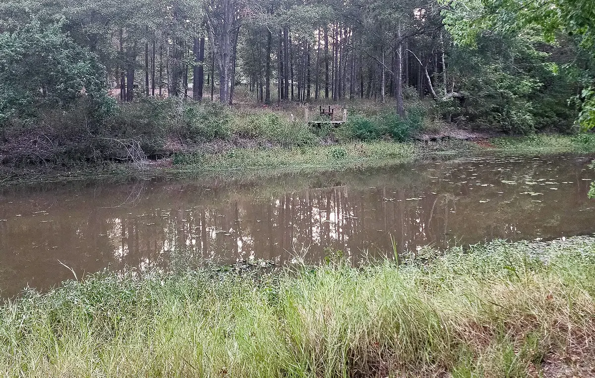 200 Laurel, Onalaska, TX 77360 - Image #1