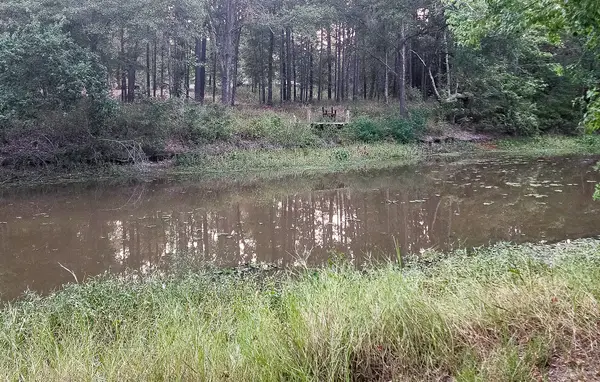 200 Laurel, Onalaska, TX 77360