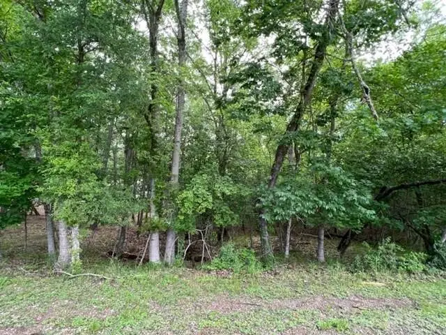 161 N Pine Harbour Drive, Coldspring, TX 77331 - #1