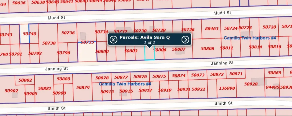 0 Janning Street Street, Coldspring, TX 77331 - #1