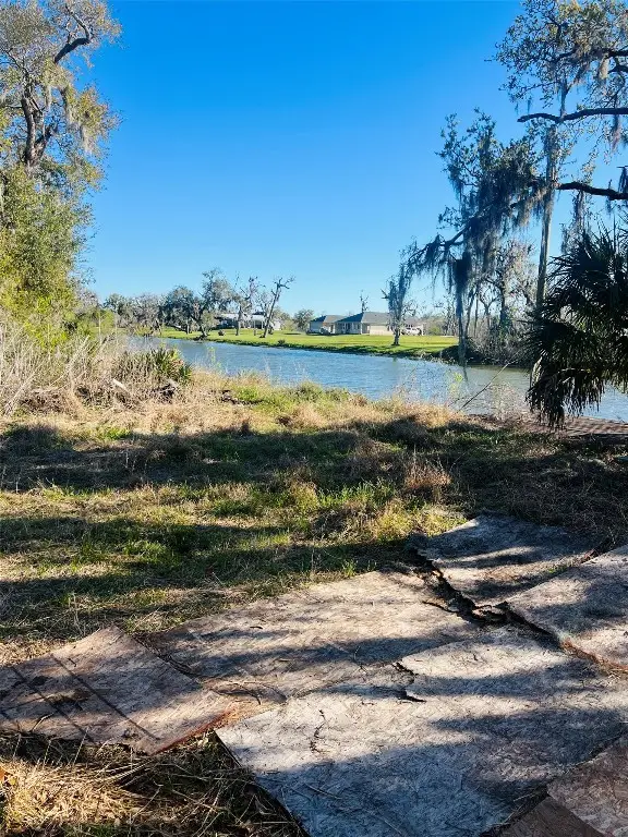 0 County Road 461a, Brazoria, TX 77422 - #1