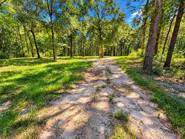 20275 Fm 770, Saratoga, TX 77585