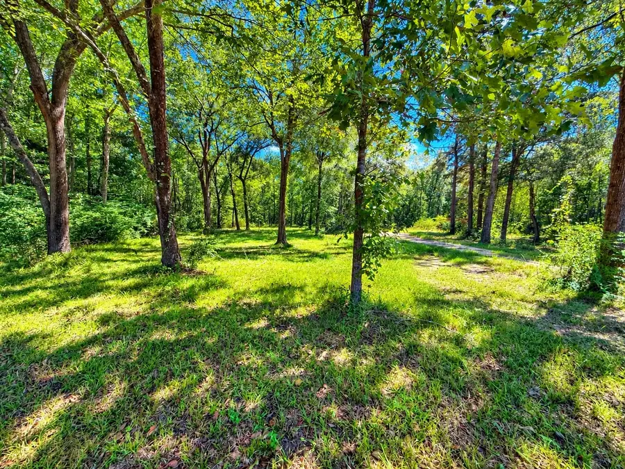 20275 Fm 770, Saratoga, TX 77585 - #3