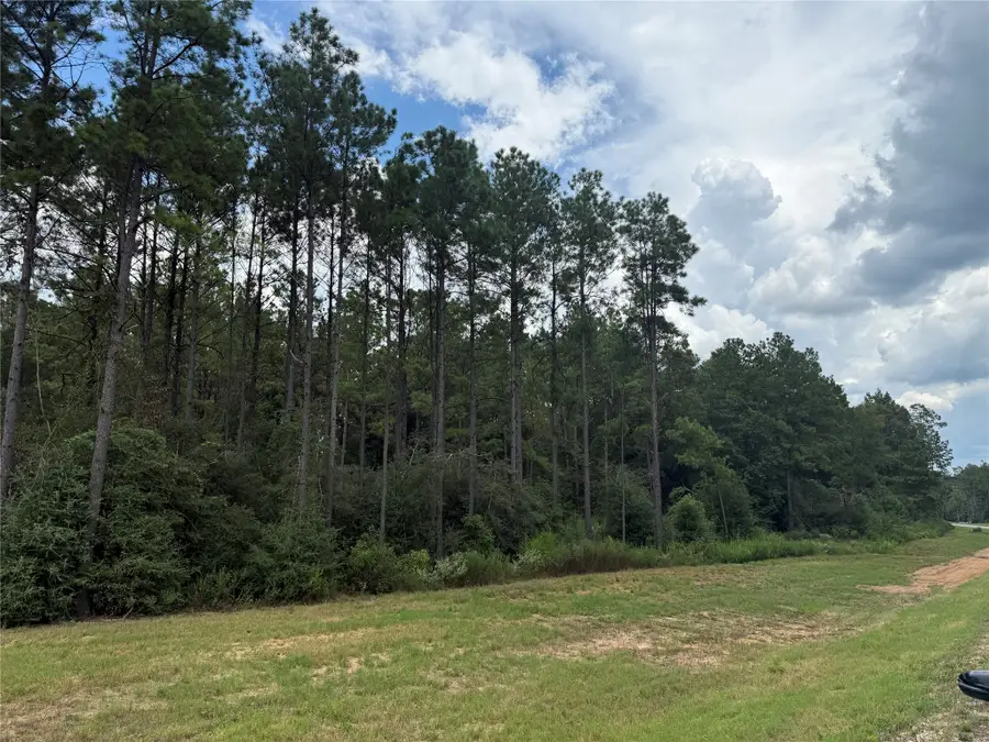 15648 Cricket Creek Court, Willis, TX 77378 - #2
