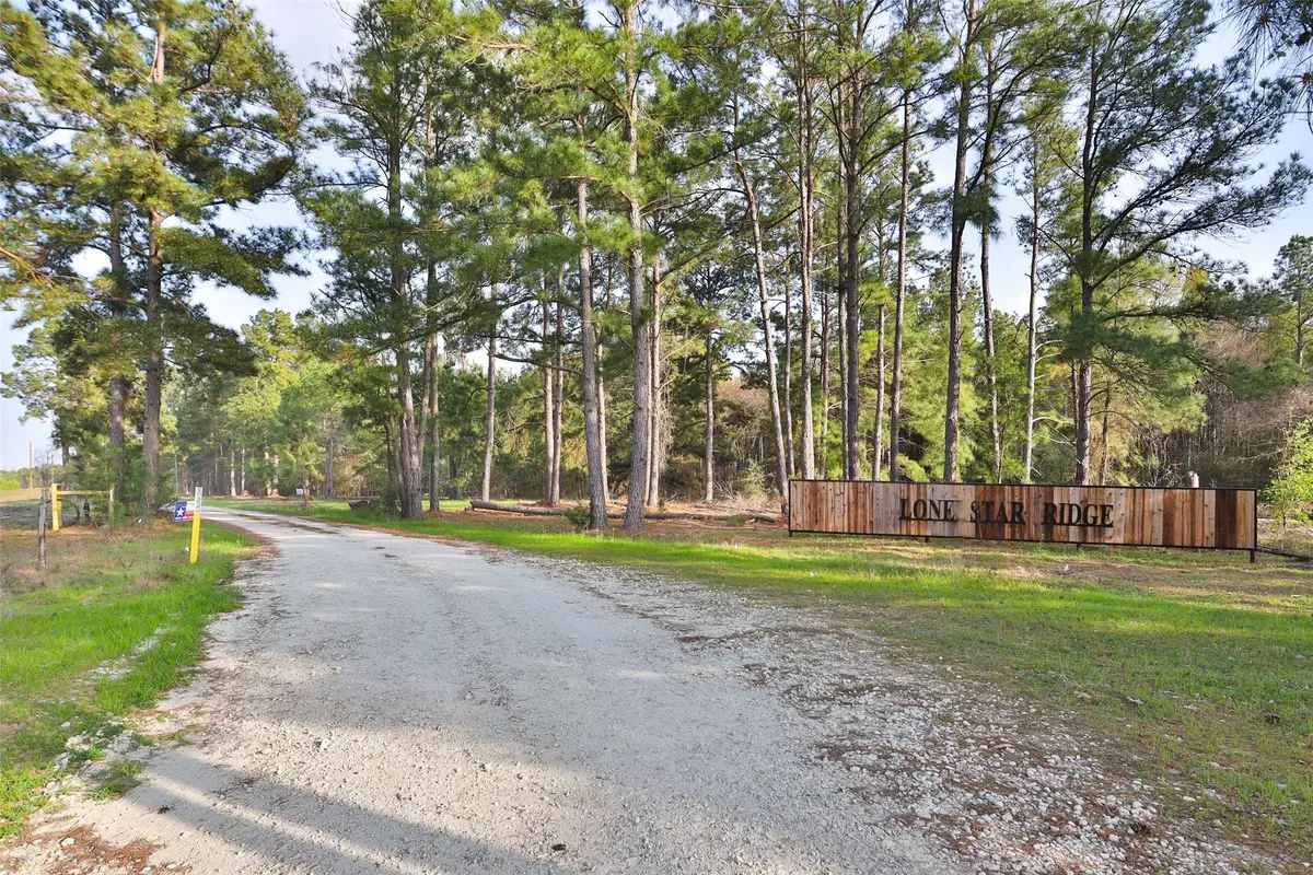 450 Williamson Way Way, Lovelady, TX 75851 - #1