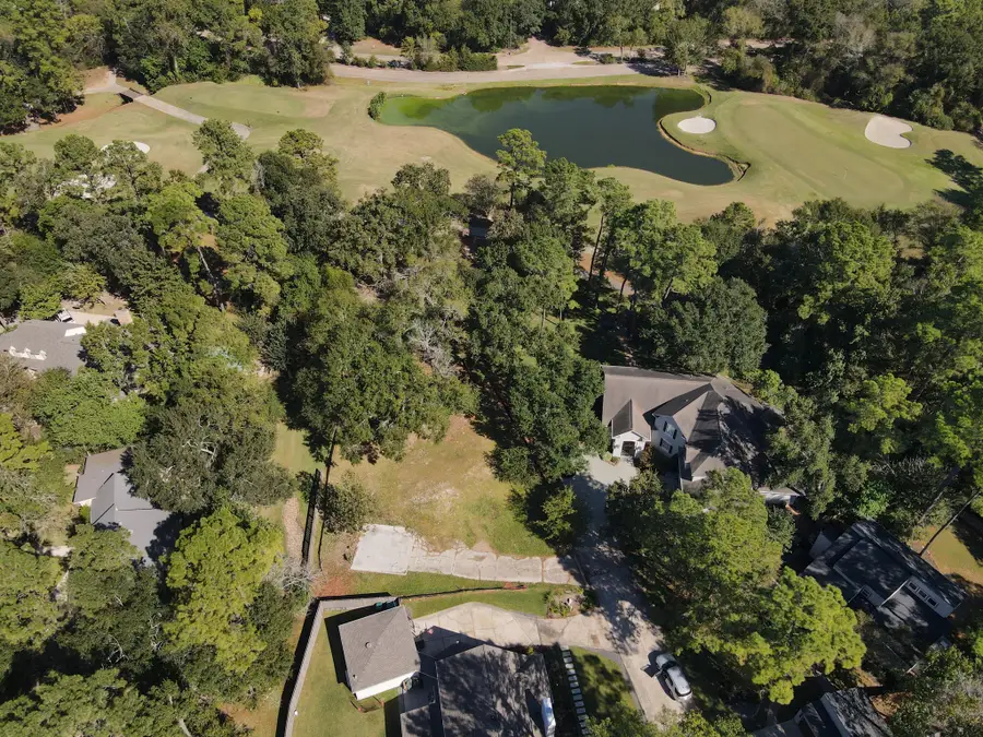 10816 Colony Wood Place, Spring, TX 77380 - #2