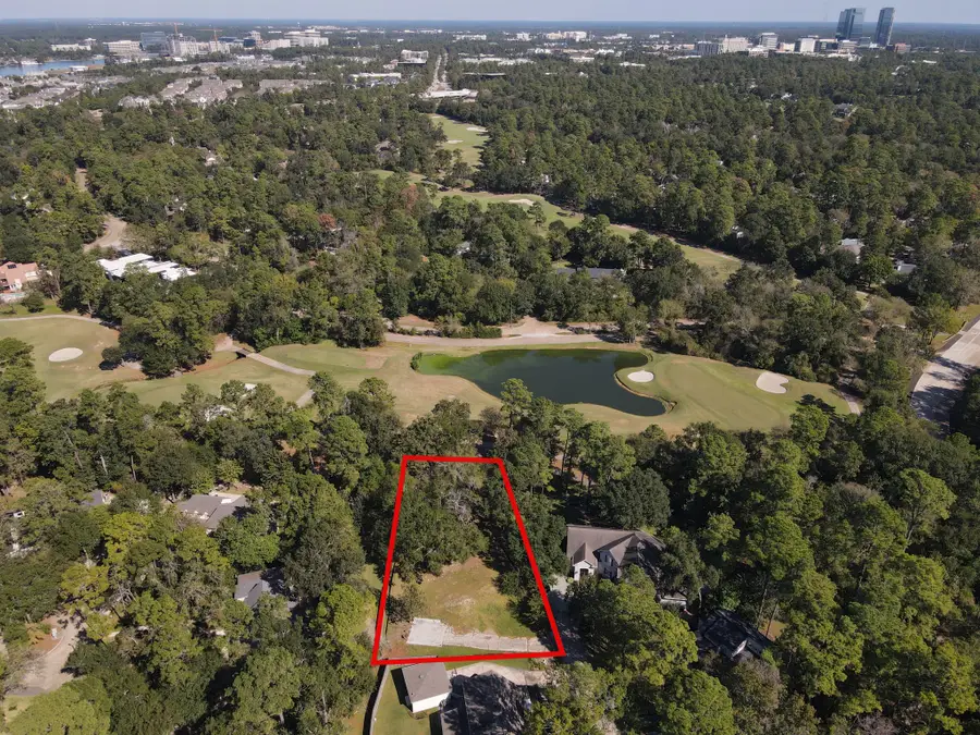10816 Colony Wood Place, Spring, TX 77380 - #3