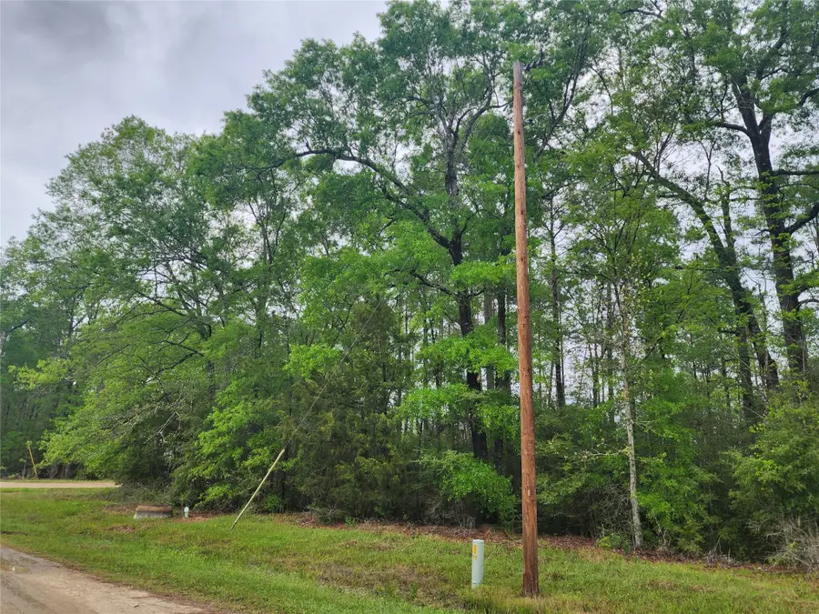 TBD Cloverdale, Livingston, TX 77351 - #2