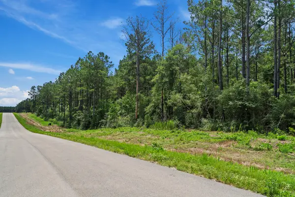 16303 Golden Wood Court, Willis, TX 77378