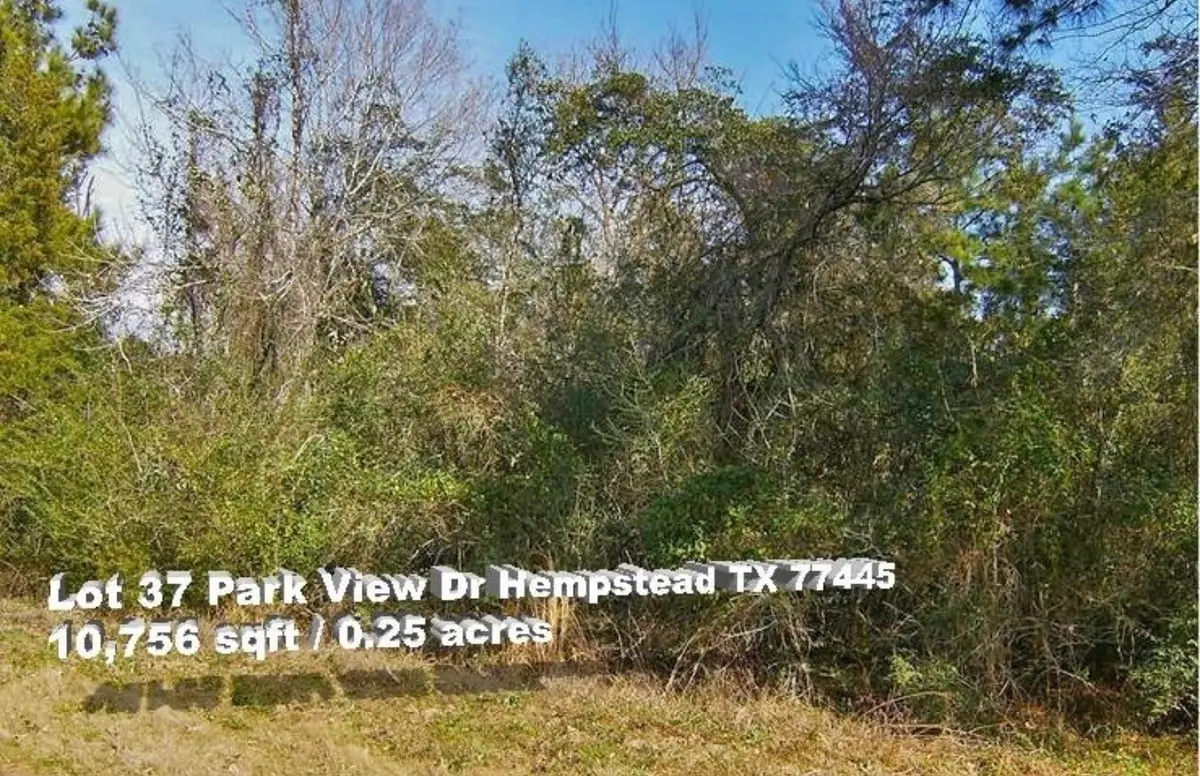 00 Park View, Hempstead, TX 77445 - #1
