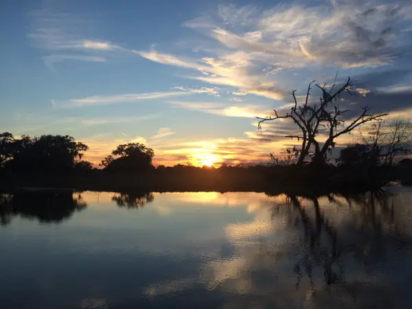 16427 Majestic Oaks Drive, Rosharon, TX 77583