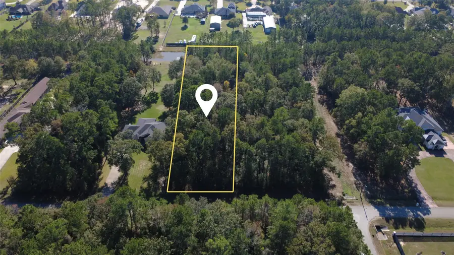 23080 Volga Drive Drive, Porter, TX 77365 - Image #2