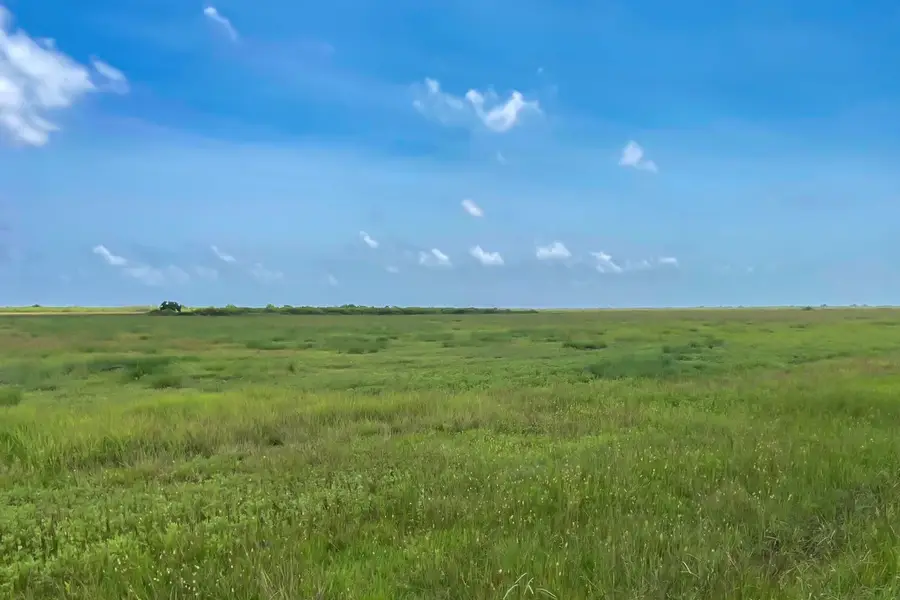 LOT 2 Chambliss Rd, Sargent, TX 77414 - #3