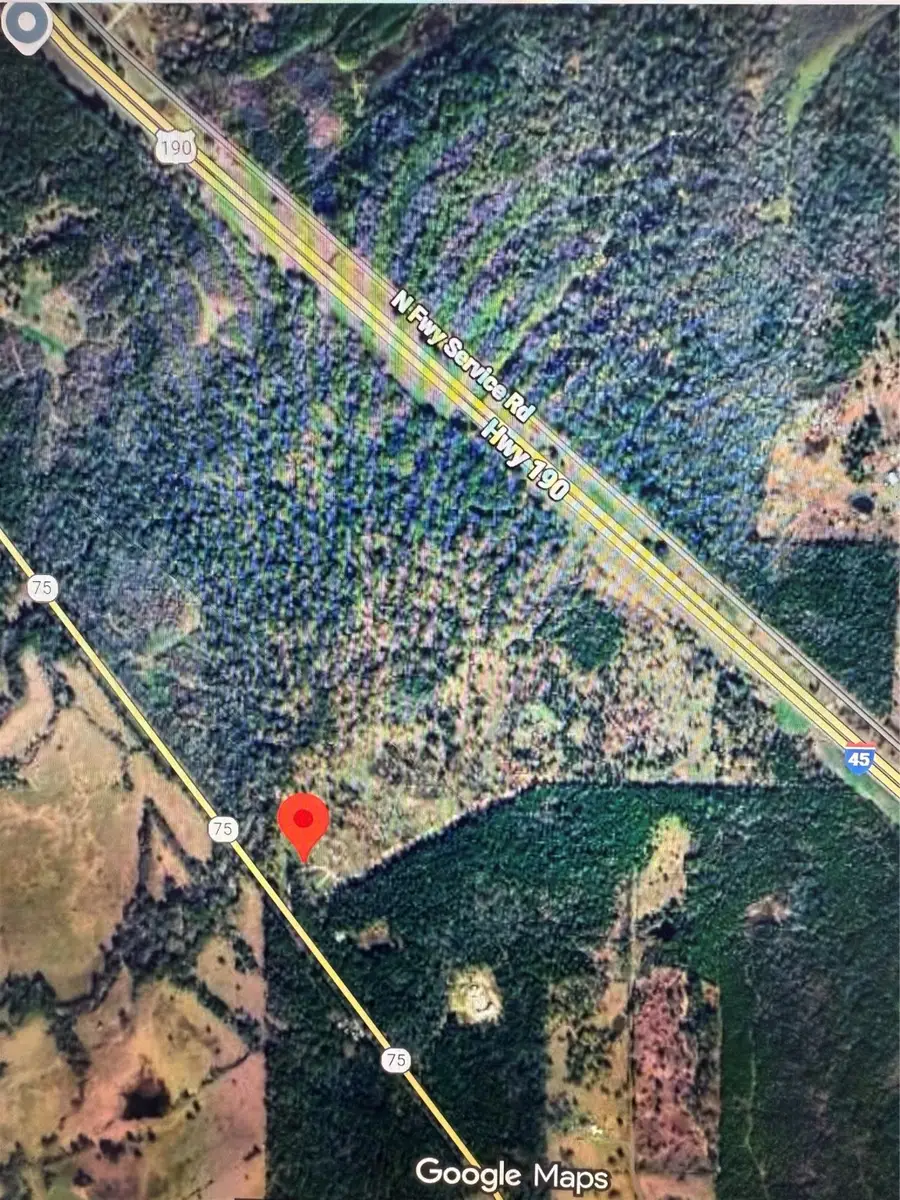 3116 State Highway 75 N, Huntsville, TX 77320 - Image #3