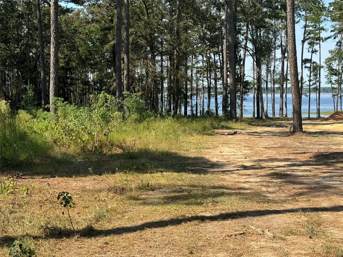 TBD 024 Private Road 6028, Brookeland, TX 75931 - #1