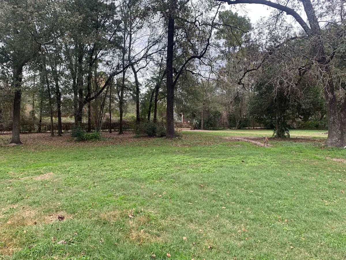 22720 Hudson, New Caney, TX 77357 - #1