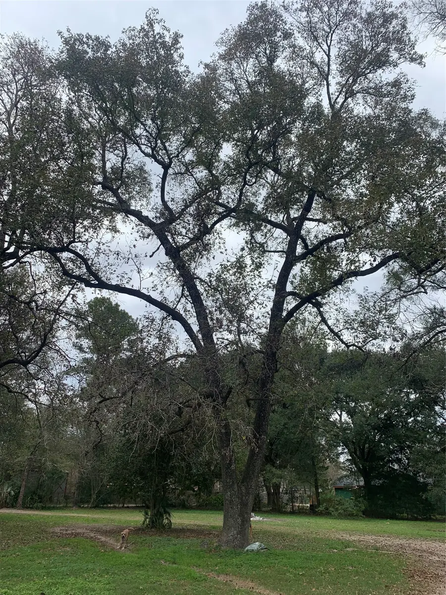 22720 Hudson, New Caney, TX 77357 - #2