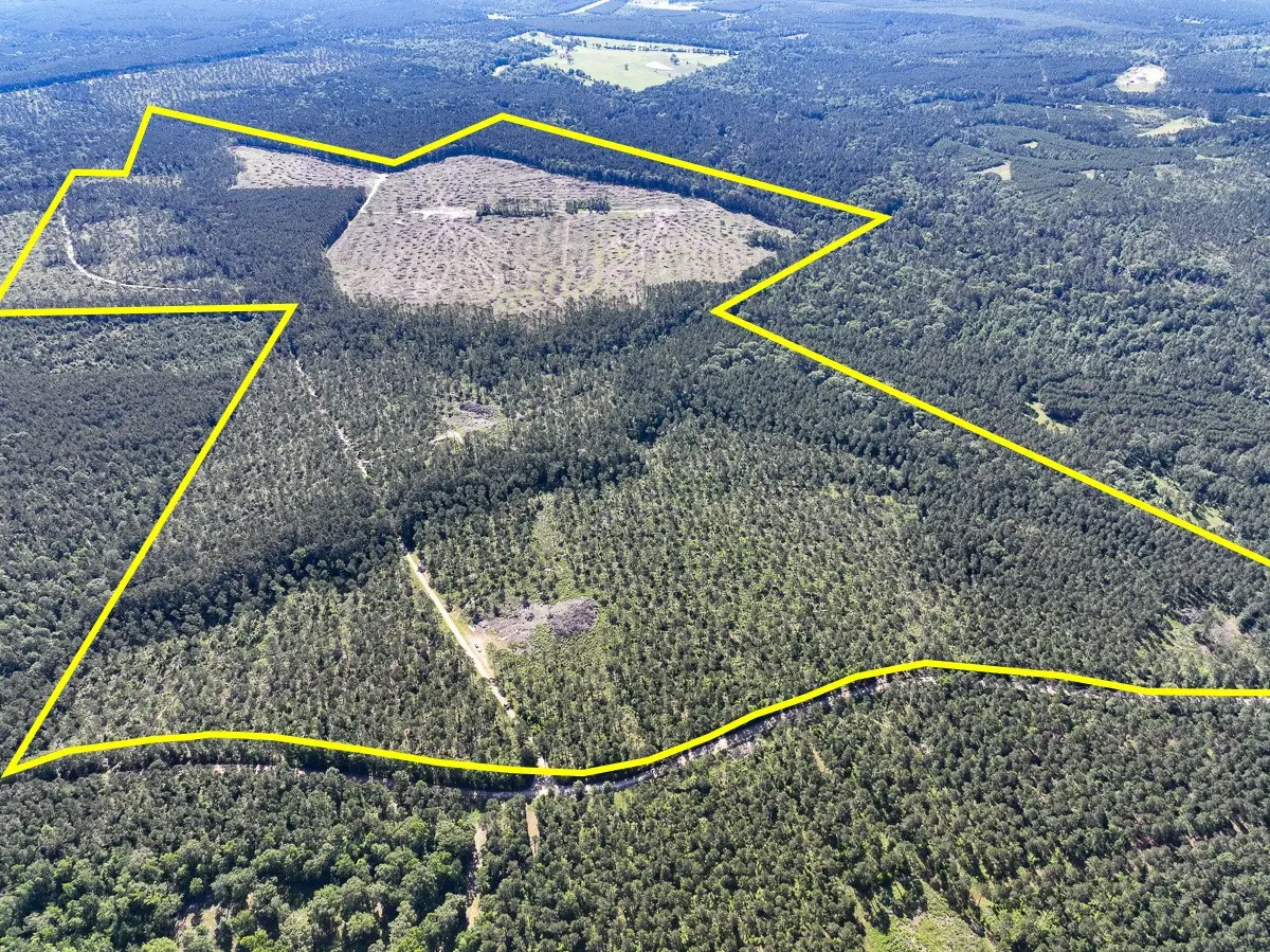 T-8 Fountain Creek Road, Groveton, TX 75845 - #1