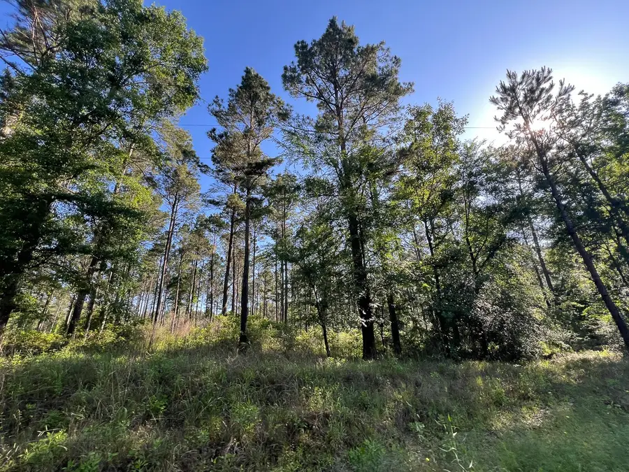 T-8 Fountain Creek Road, Groveton, TX 75845 - #3