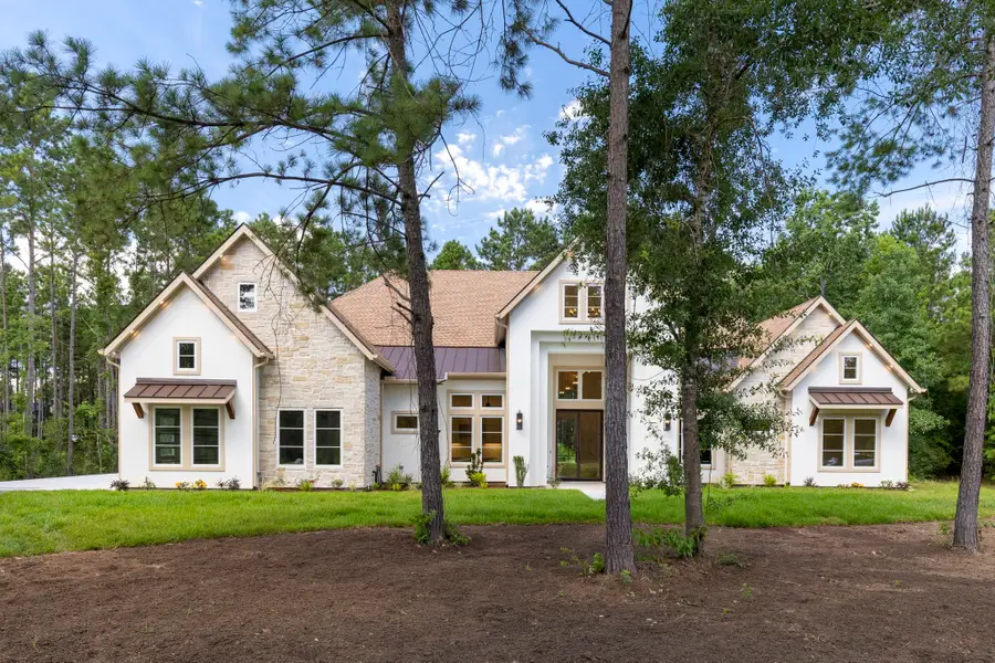 7413 High Meadow Ridge Drive, Montgomery, TX 77316 - #2