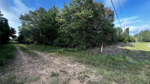 TBD Overhill Circle, Hilltop Lakes, TX 77871