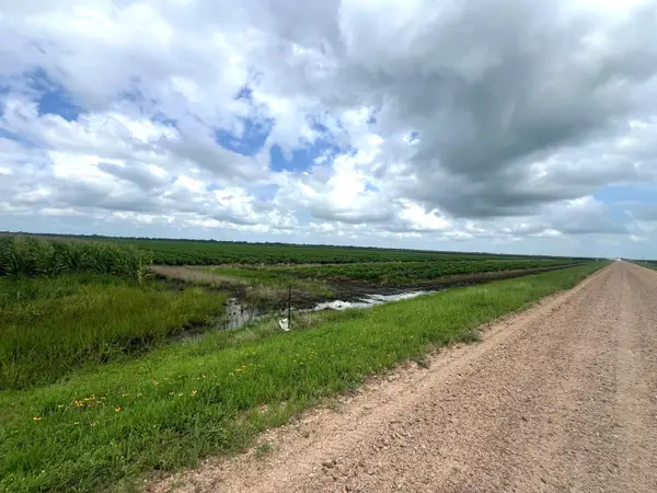 0 Cr 254, East Bernard, TX 77435
