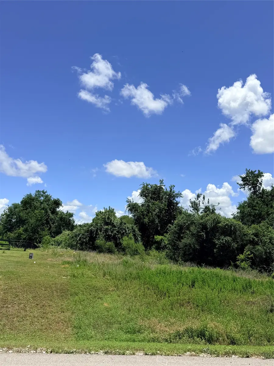 Lot 35 Winding Branch, Chappell Hill, TX 77426 - #3