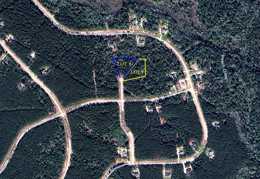 15668 Cricket Creek Court, Willis, TX 77378 - #3