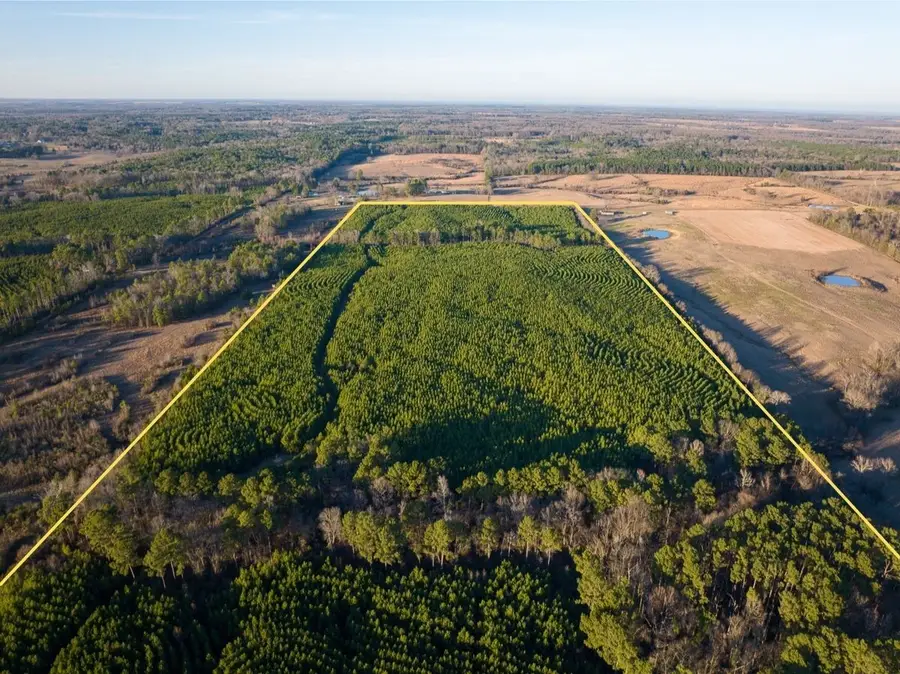 T-7 Cr 4415, Annona Avery, TX 75559 - #2