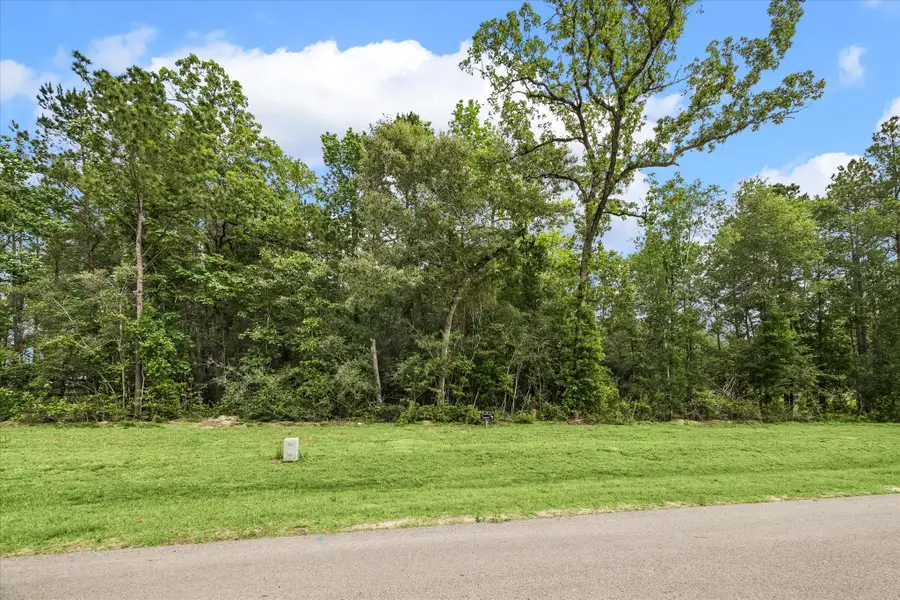 7712 Dog Wood Acres Drive, Montgomery, TX 77316 - #3