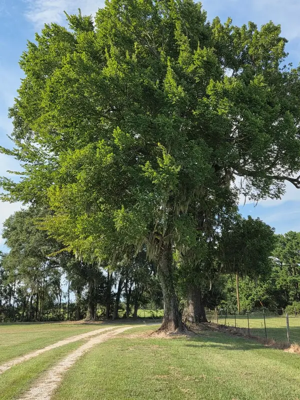 0 Skains Chapel Road, Trinity, TX 75862-6823