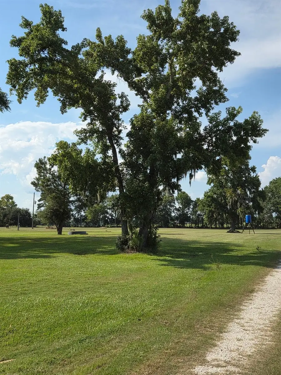 0 Skains Chapel Road, Trinity, TX 75862-6823 - #3