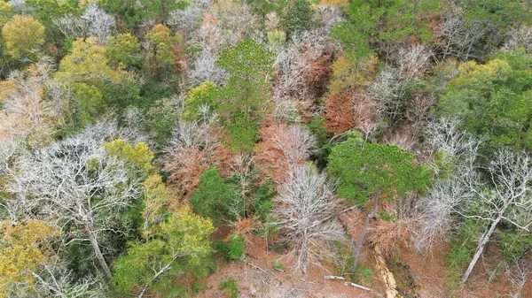 TBD Lady Luck Pid 246444 Lane, Livingston, TX 77351