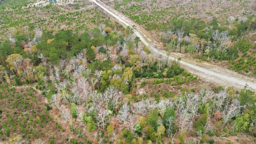 TBD Lady Luck Pid 246444 Lane, Livingston, TX 77351 - #3