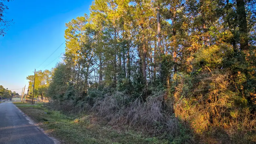 TBD Holly Drive, New Caney, TX 77357 - Image #2