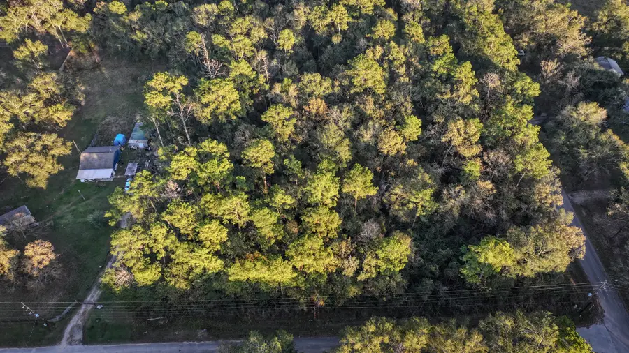 TBD Holly Drive, New Caney, TX 77357 - Image #3