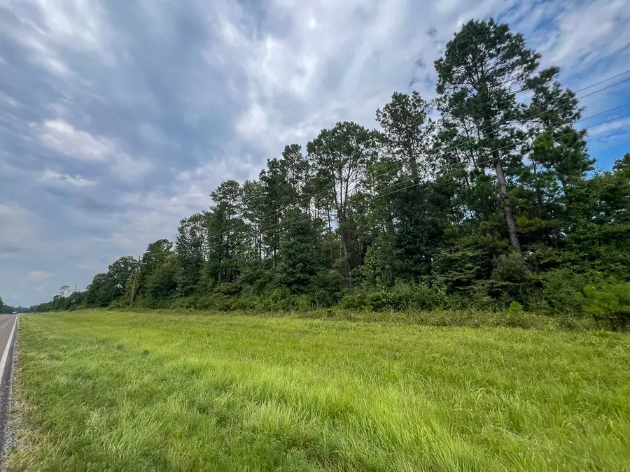 34 Highway 94 Road, Groveton, TX 75845 - #2