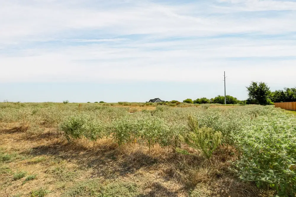 4577 Ruger Way, Bryan, TX 77808 - #1