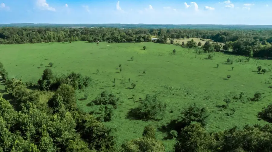 351 County Road 351, Oakwood, TX 75855 - #2