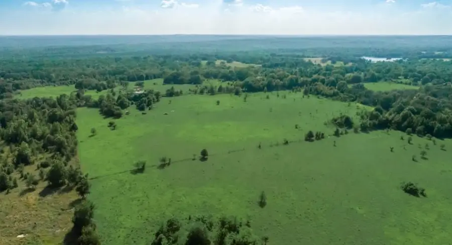 351 County Road 351, Oakwood, TX 75855 - #3