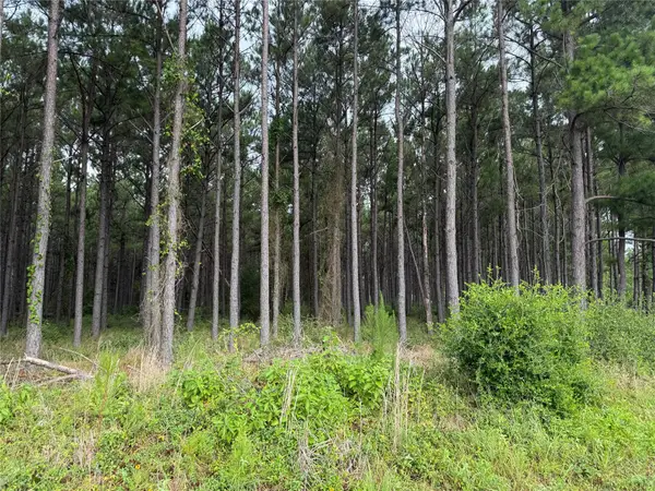 162 Taylor Trail, Lovelady, TX 75851