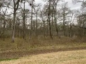 15530 Tierra Grande Drive, Needville, TX 77461 - Image #3