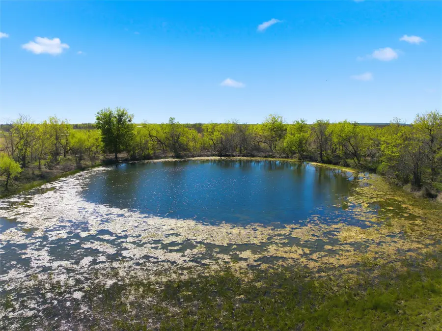 4429 Fm 147, Groesbeck, TX 76642 - #2