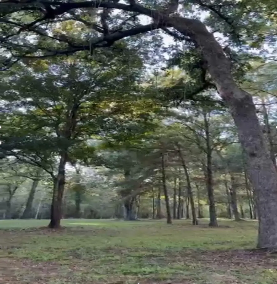 26164 Grand Pines Road, Magnolia, TX 77355 - #3