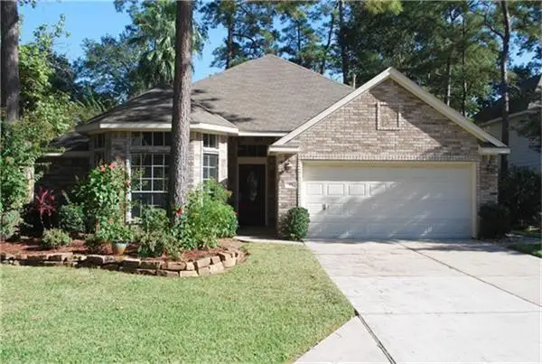 18 Teak Mill Place, The Woodlands, TX 77382 - #2