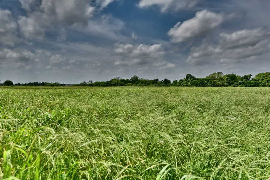 TBD River Haven Dr, Navasota, TX 77868 - #3