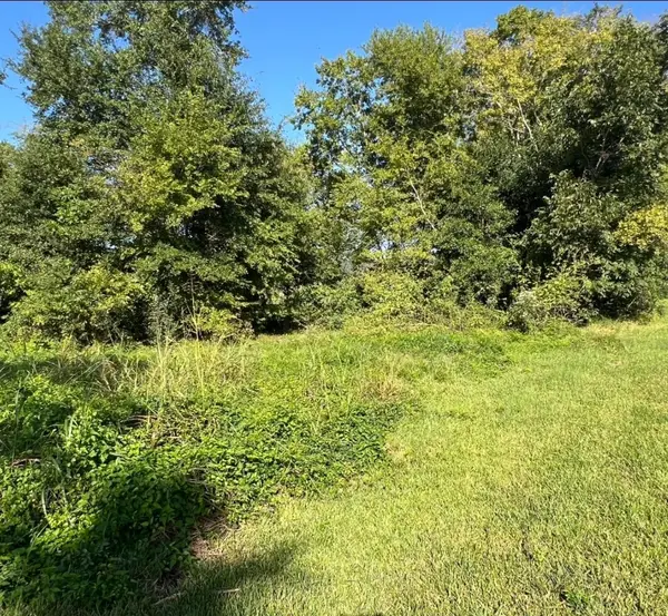 1400 W Virginia Street, Beaumont, TX 77705