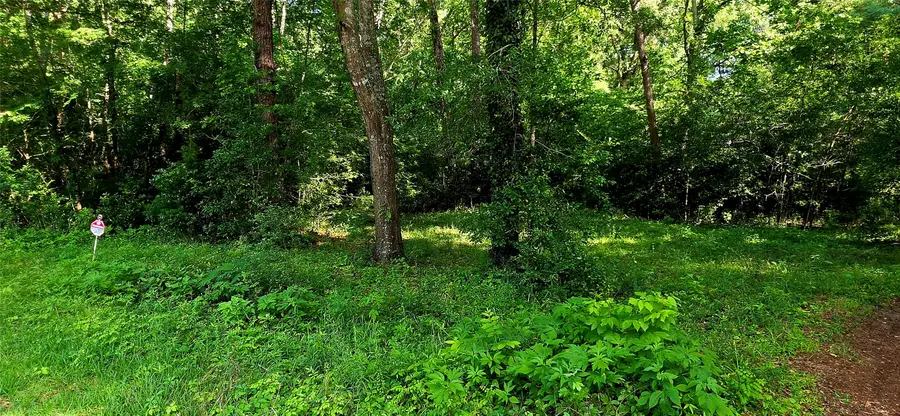 504 John Kolb Road, Lufkin, TX 75901 - #3
