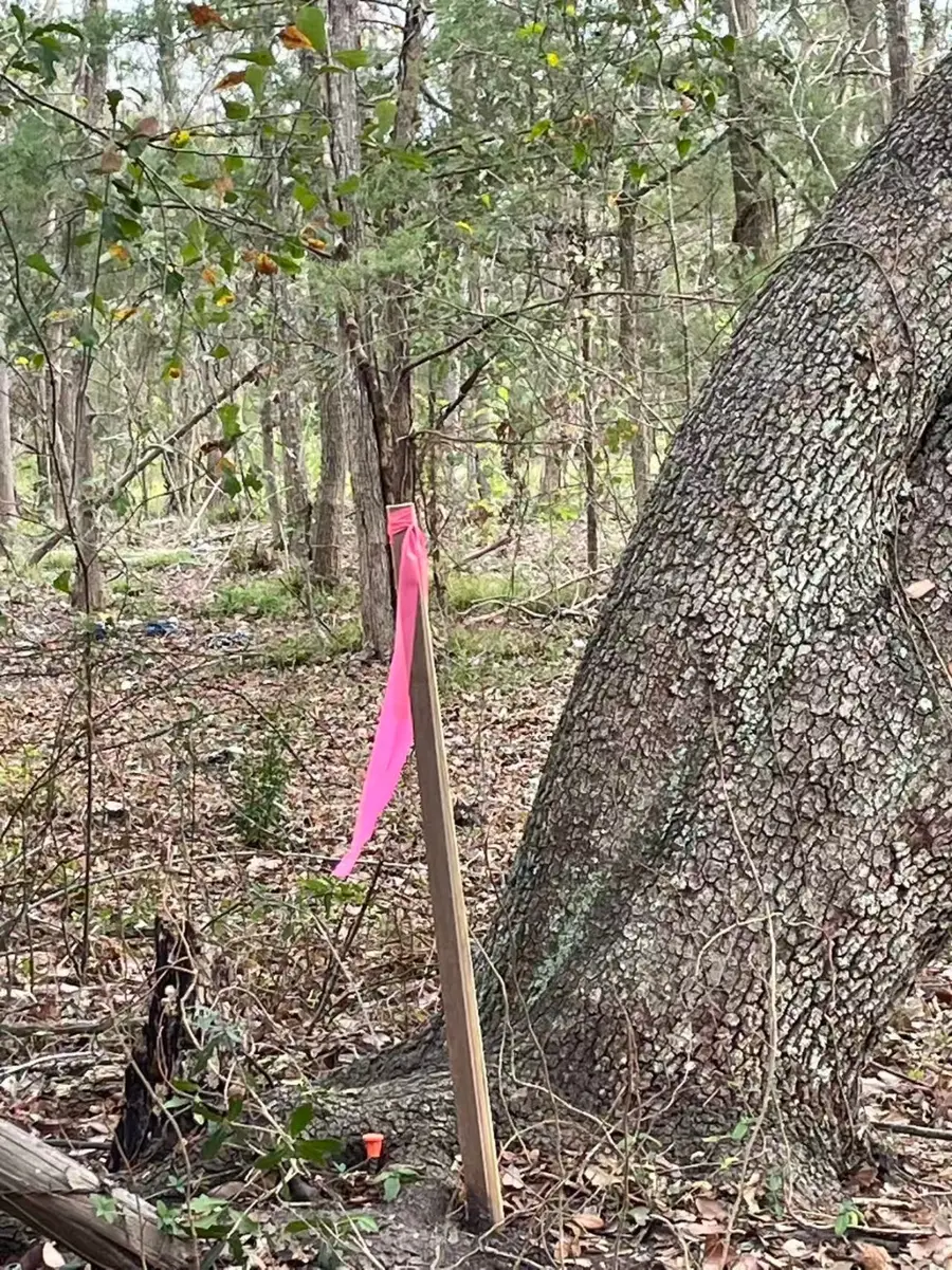 0 Dilling St, Alvin, TX 77511 - Image #3