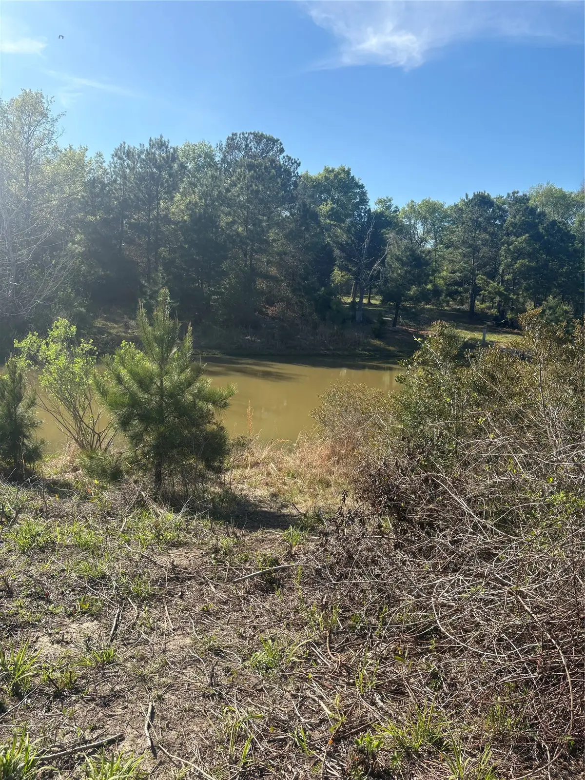 26770 Lake Shore Drive, Hempstead, TX 77445 - #1